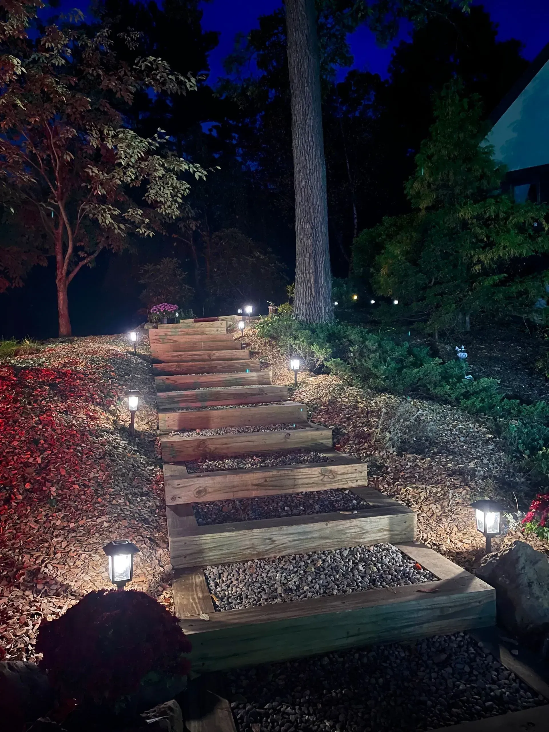 Wooden steps with solar lights lead up a hill at night.