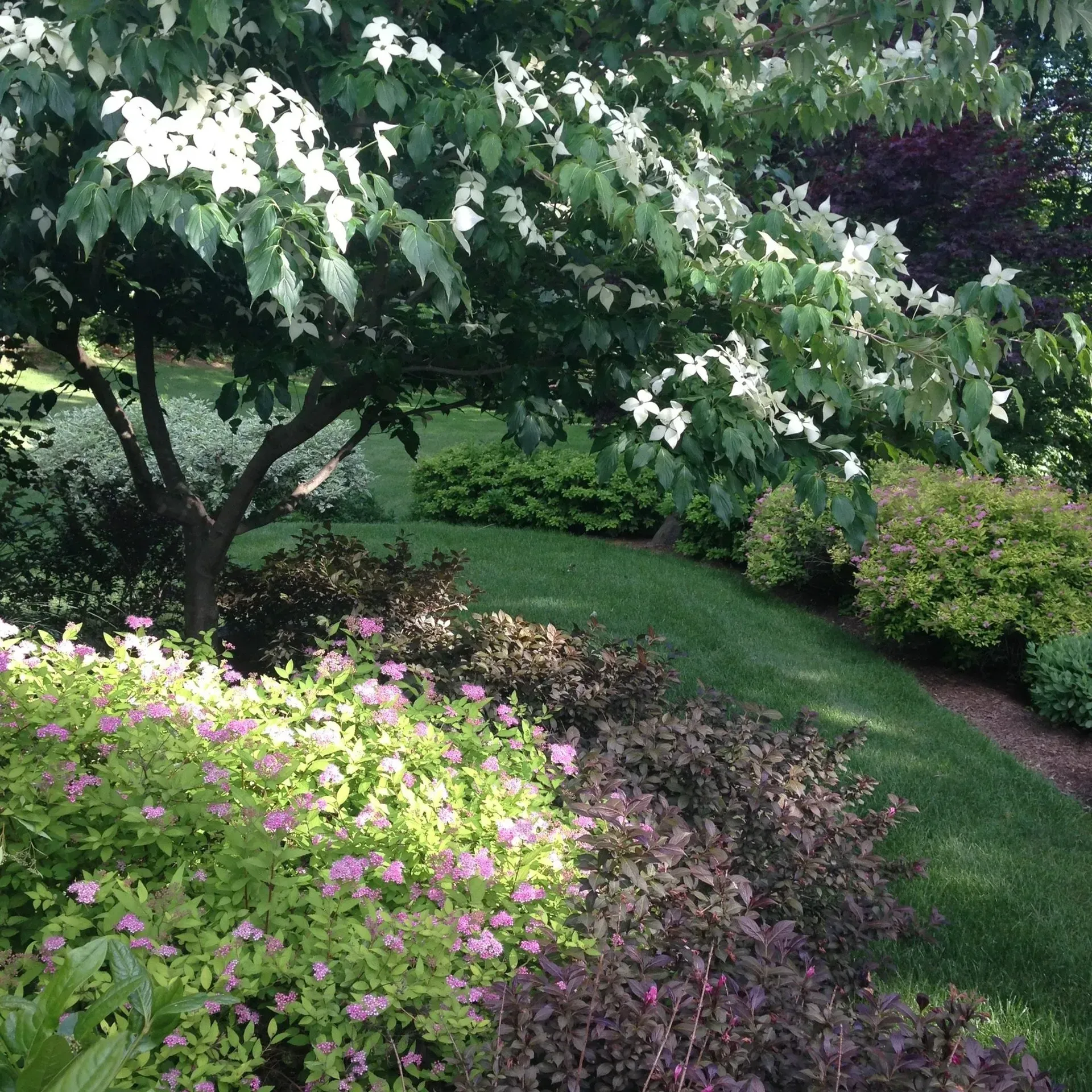Lush green hillside garden with a blooming dogwood tree and various colorful shrubs and flowers.