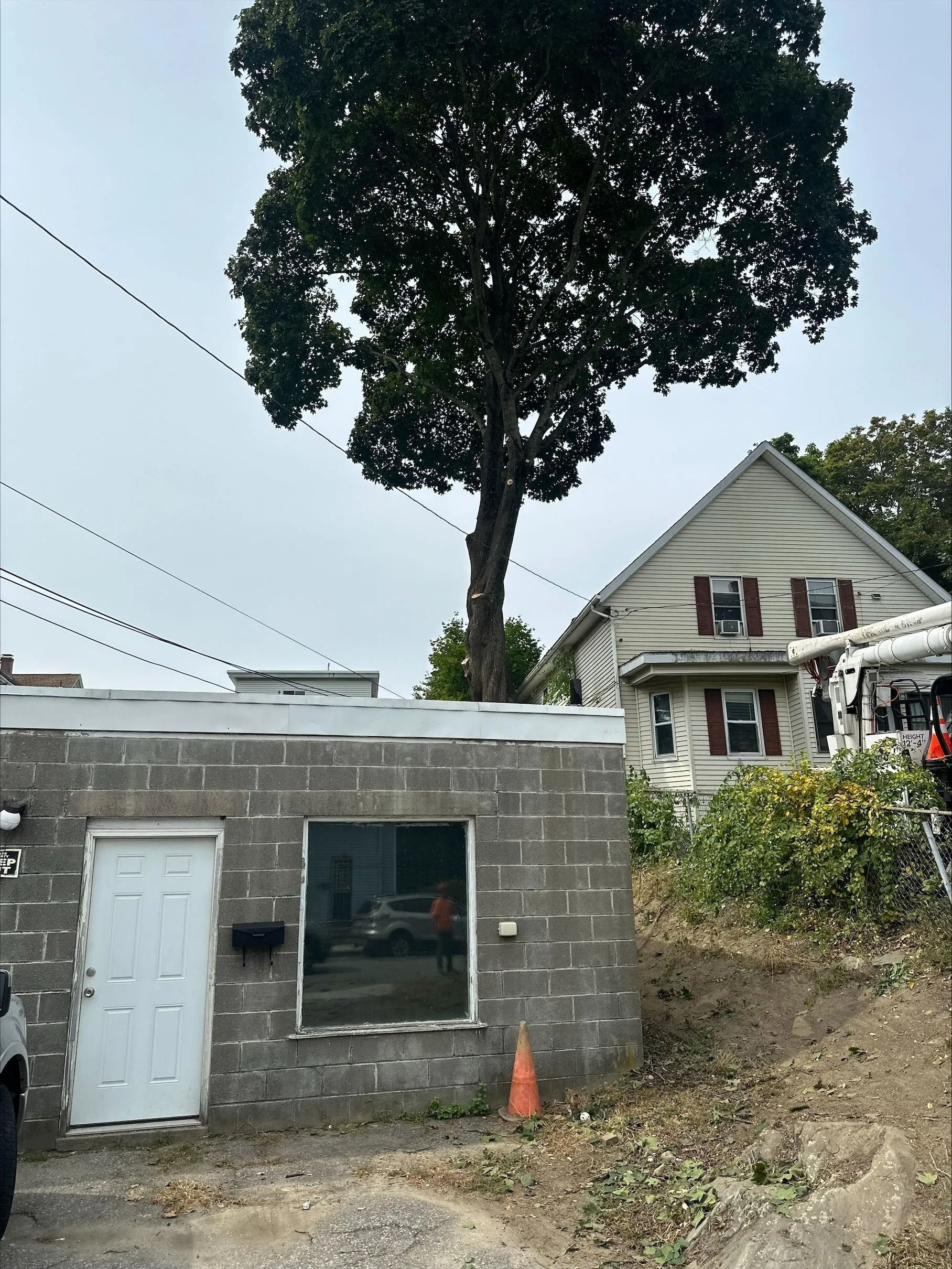 Small brick building with a tree growing through its roof, next to a two-story house.