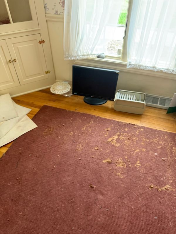 Room with a dirty red rug, TV, window with sheer curtains, and built-in white cabinets.