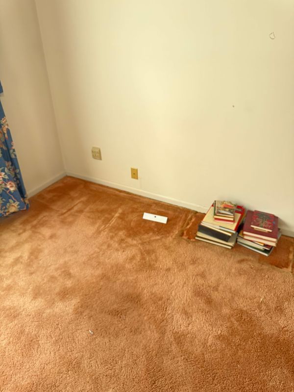 Orange carpet in a corner with a few books against a cream-colored wall, and a floral curtain partially visible.