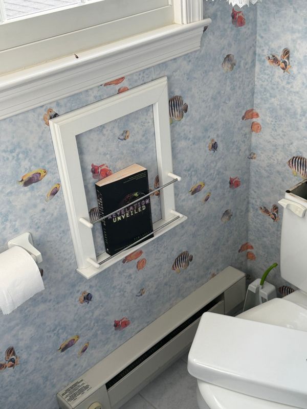 White frame with metal bar holding a book on a wall with fish-patterned wallpaper. A toilet and heater are visible.