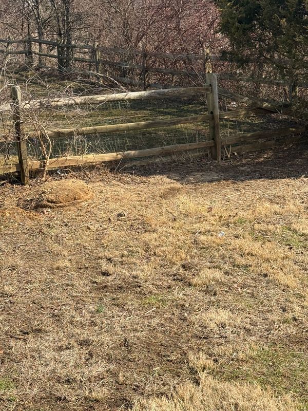 Wooden fence in a field of dry grass, trees in the background.
