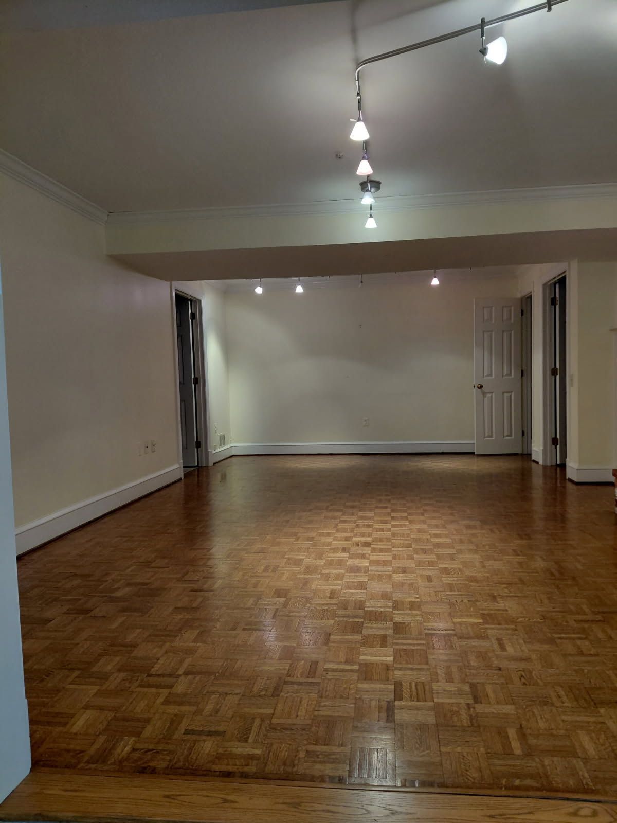 Empty room with wood parquet flooring, white walls, and track lighting. Two closed doors are on the right.