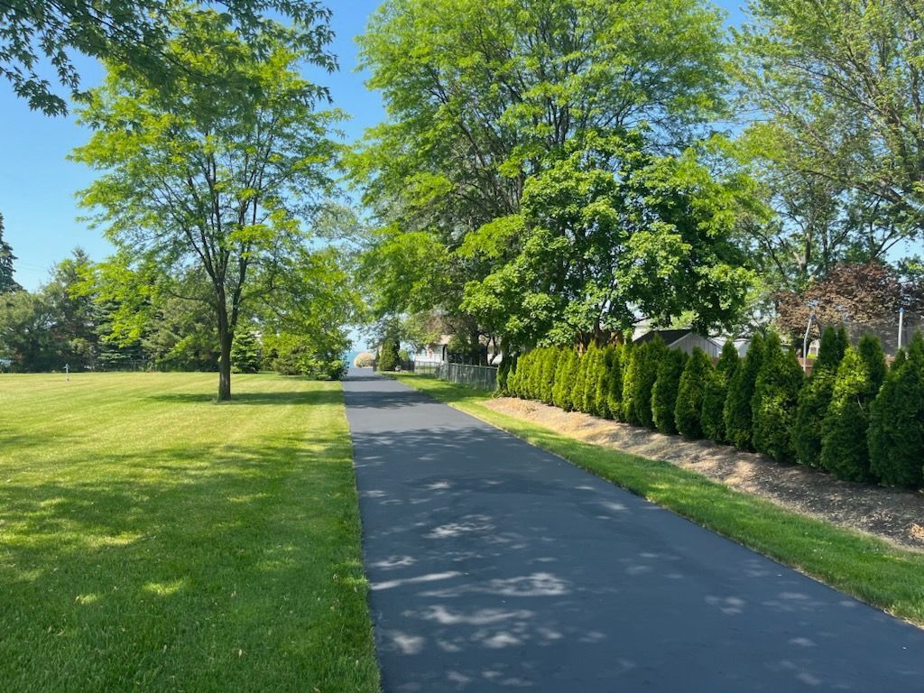 a road going through a grassy field with trees on both sides.