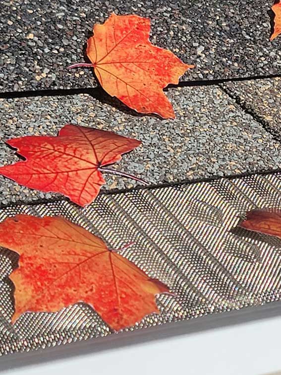 The leaves are floating in the air on the roof.