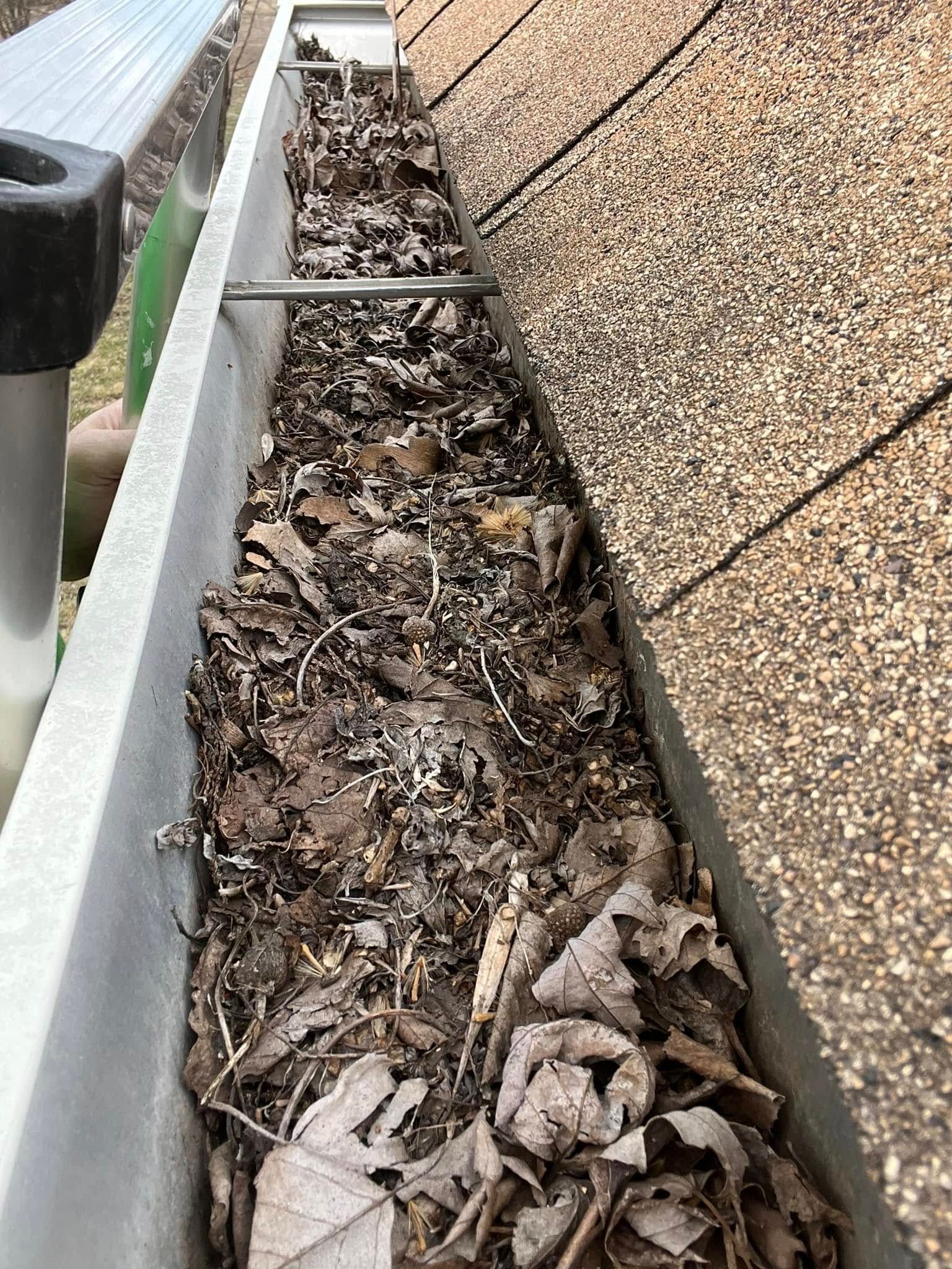 A gutter filled with leaves and dirt on a roof.
