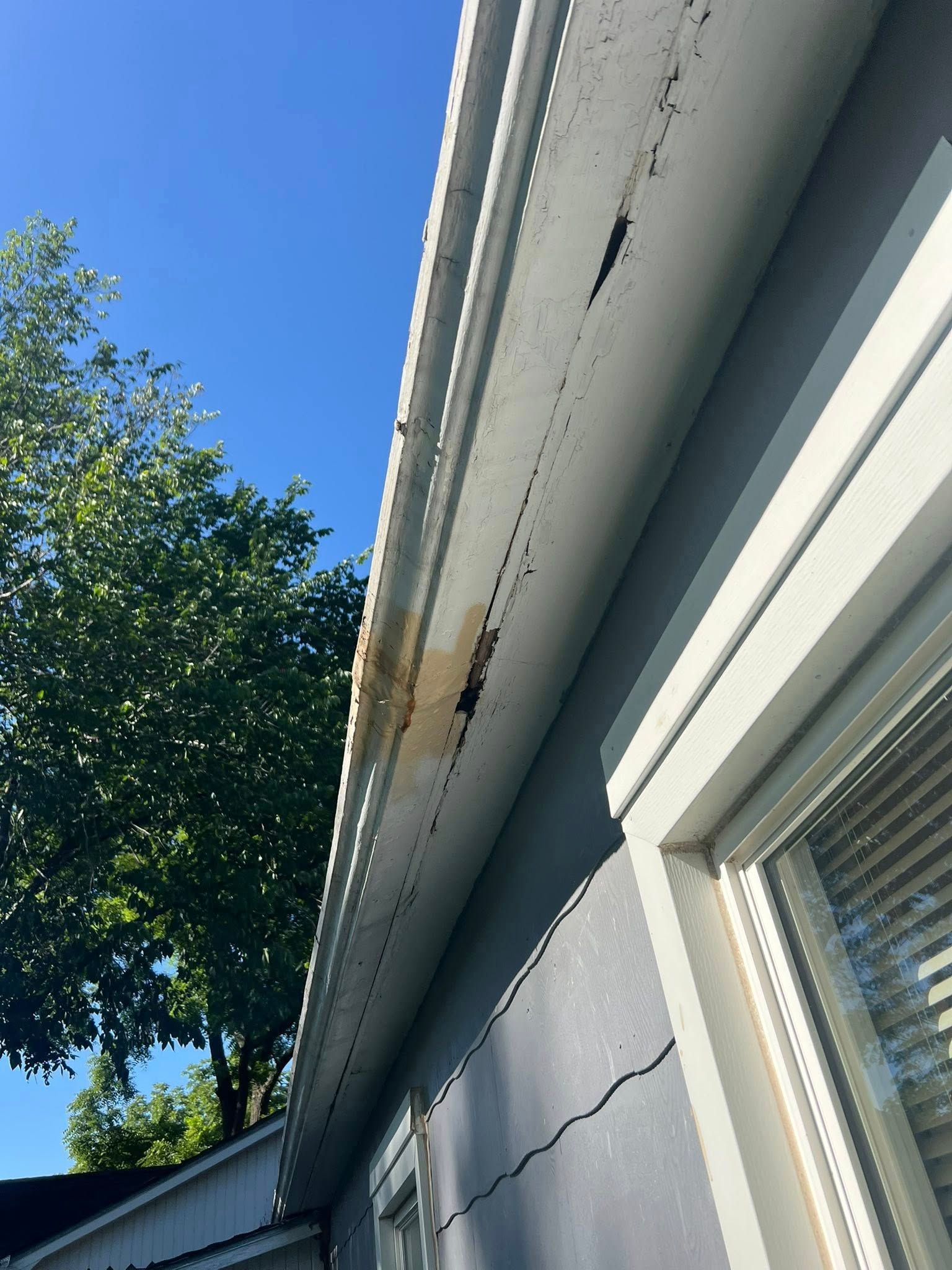 A gutter on the side of a house with a tree in the background