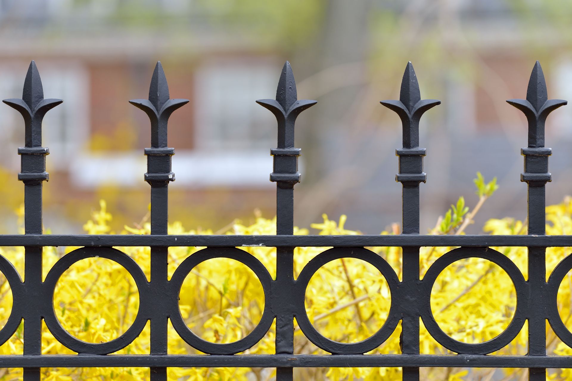 A close-up of a wrought iron fence with yellow flowers in the background.