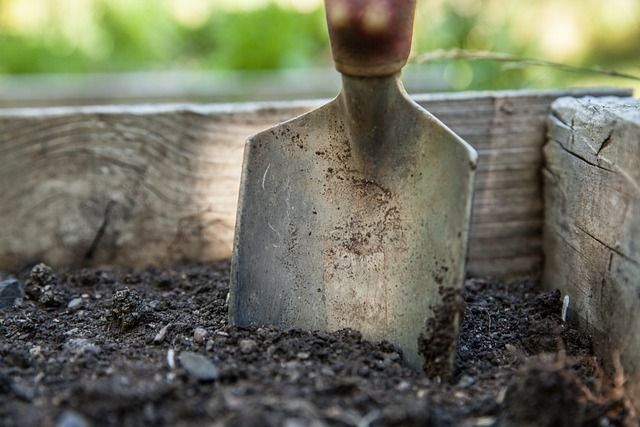A metal garden trowel stands upright in dark soil inside a wooden garden bed.