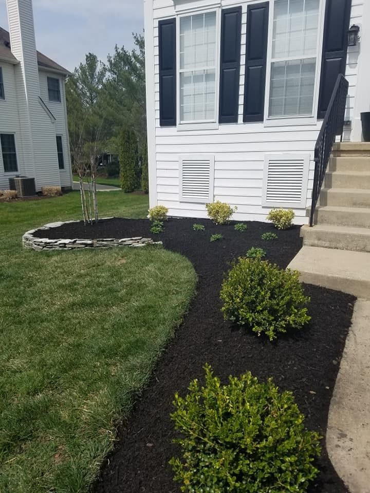 Fresh mulch covers a garden bed bordering a white house with black shutters, featuring small green shrubs and stone edging.
