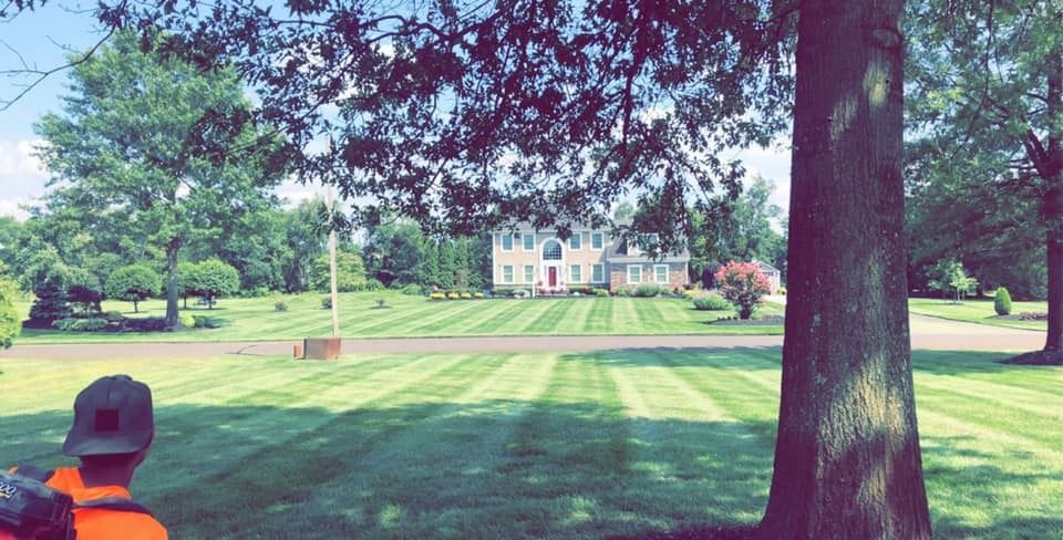 A person in a bright orange shirt and cap views a large, well-manicured lawn with distinct stripes leading to a house.