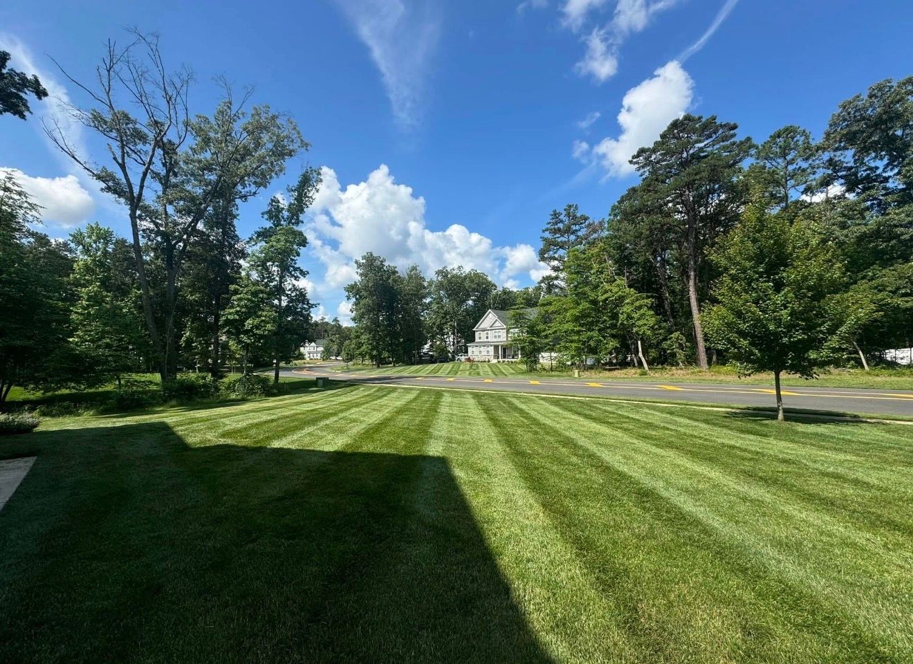 A vast, neatly mown lawn with distinct green stripes stretches toward a house nestled among tall trees under a blue sky.