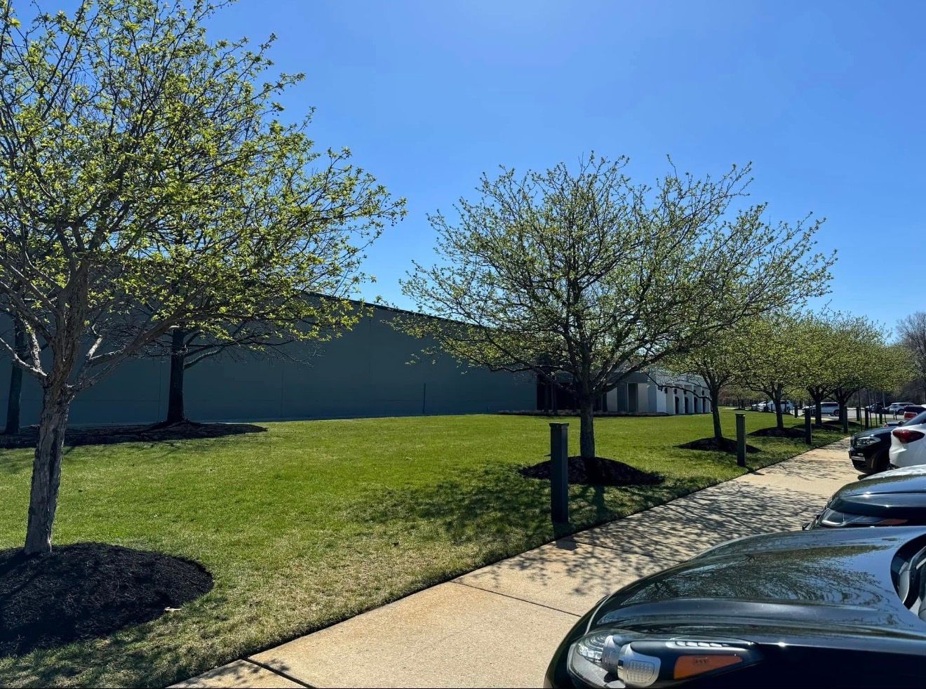 A row of young trees lines a grassy lawn in front of a long, gray commercial building on a bright, sunny day.