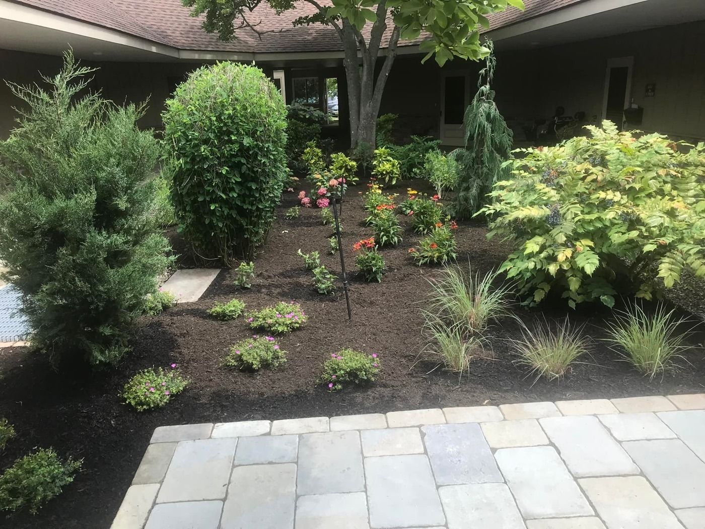 A courtyard garden with shrubs, small flowering plants, and a tree, bordered by a stone patio and a building in the back.