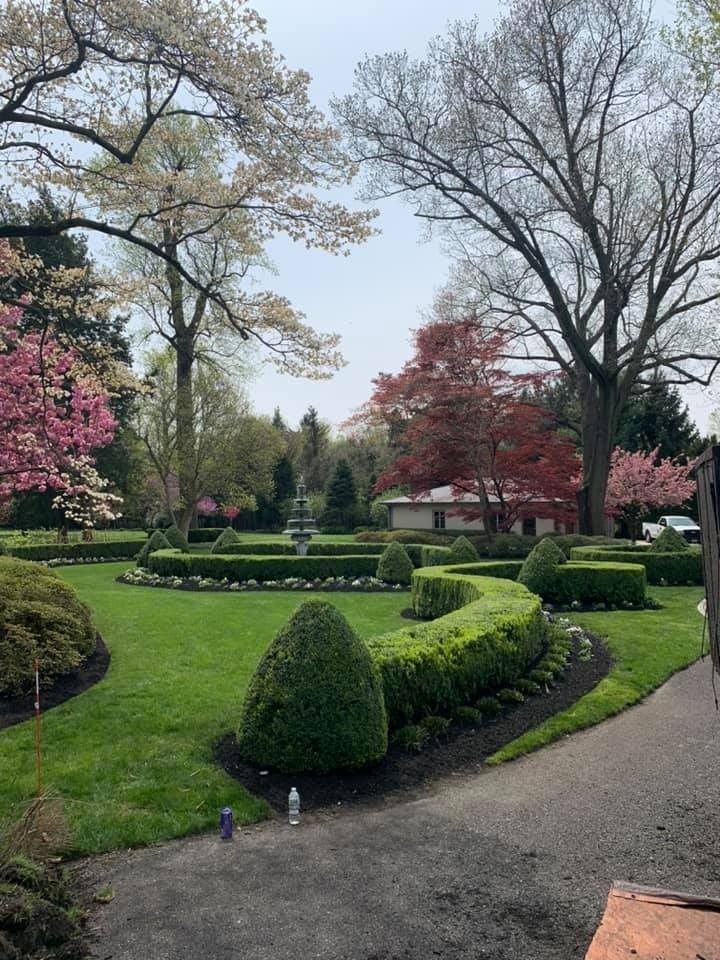 A manicured garden with sculpted boxwood hedges, a central fountain, and colorful spring trees under an overcast sky.