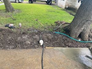 A hose is laying on the ground next to a tree.