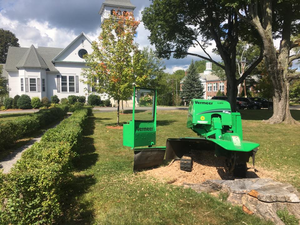 A.R.I Grounds Maintenance Inc photo