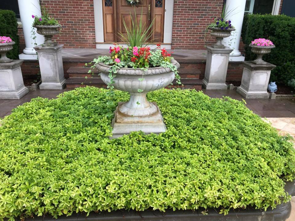 A.R.I Grounds Maintenance Inc photo