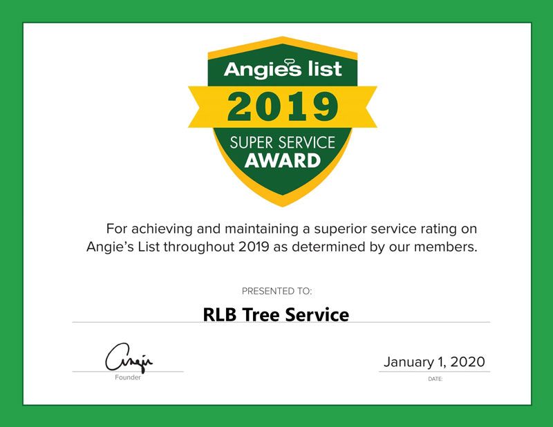 Angie's List 2019 Super Service Award presented to RLB Tree Service on January 1, 2020.