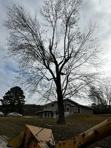 Bare tree in front of a house on a cloudy day. Yellow machinery in foreground.