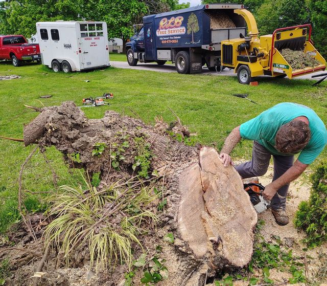 Man using a chainsaw to cut a tree trunk; a wood chipper and truck are nearby.