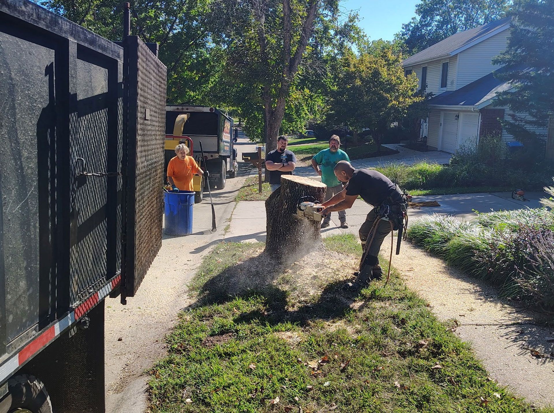 A tree service crew cutting a tree on a residential lawn, with truck in frame. Sawdust flies.