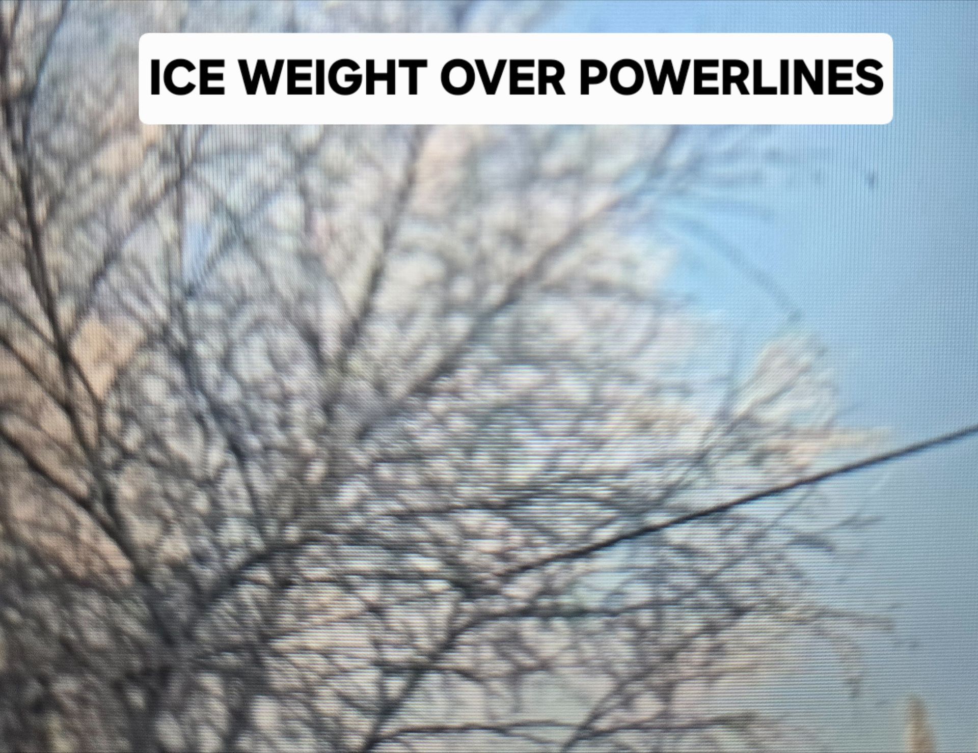 Ice-covered powerlines and tree branches against a cloudy blue sky.