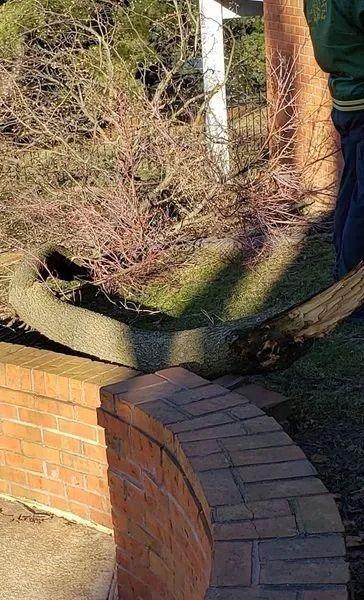 Brick wall curves along sloping grassy area with a tree and partial view of a person.