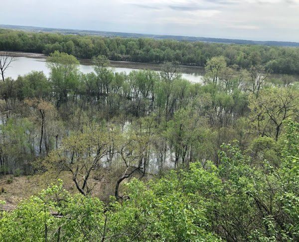 Overhead view of a flooded forest with a river in the background. Green trees and water dominate the landscape.