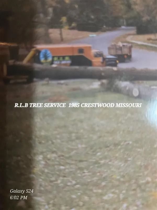 Tree service truck in Crestwood, Missouri, with logs on the ground.
