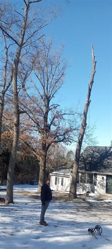 Man and dog in a snowy yard with bare trees and a small building under a clear blue sky.