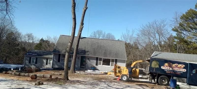Tree removal equipment near a house; cut logs and a wood chipper are visible on a snow-covered lawn.