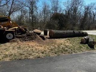 A tree trunk being processed by a wood chipper on a grassy area next to a paved road.