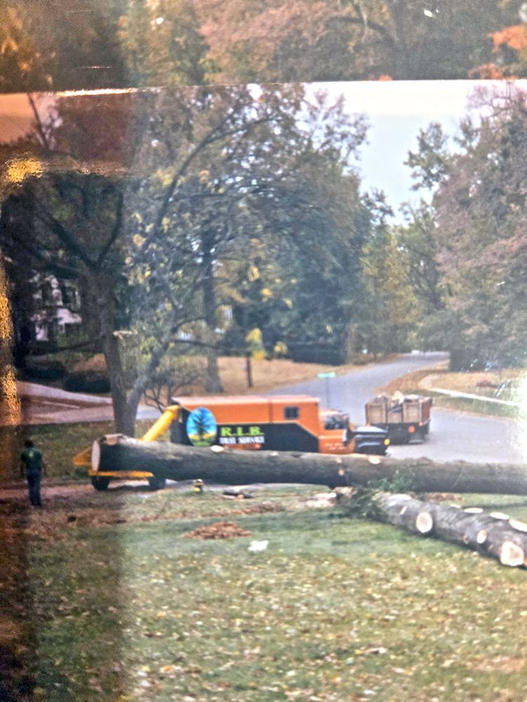 A large log being processed by a machine on a residential street. A worker stands nearby.