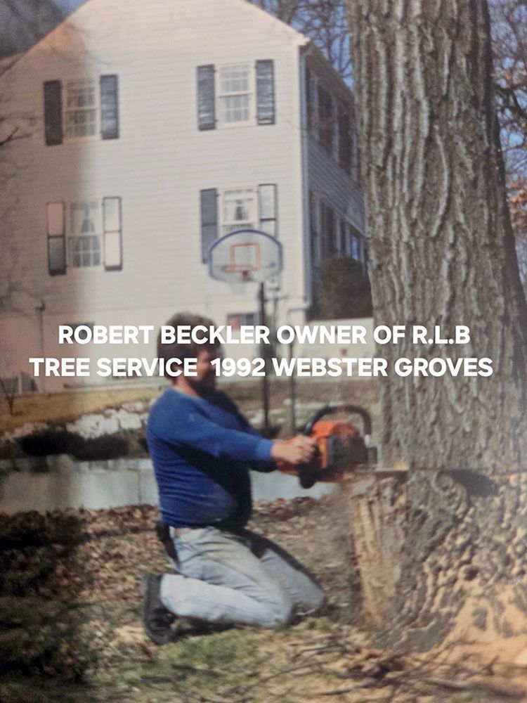 Man kneeling, using a chainsaw to cut a tree. House, basketball hoop, and text: 