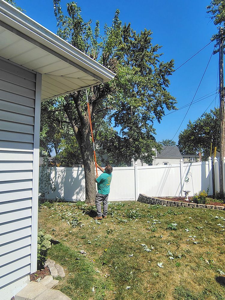 Person trimming a tree in a backyard with a white fence, under a bright blue sky.
