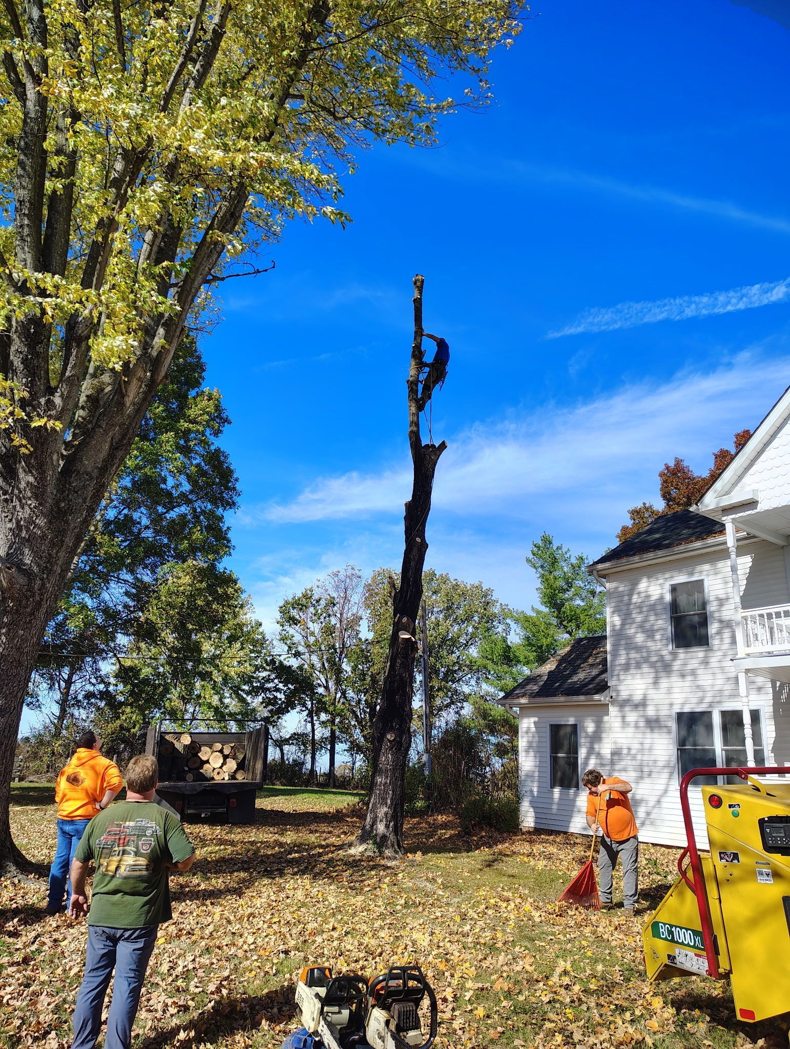 Tree service workers removing a tall tree. One worker in a bucket truck, two on the ground, a house to the right.