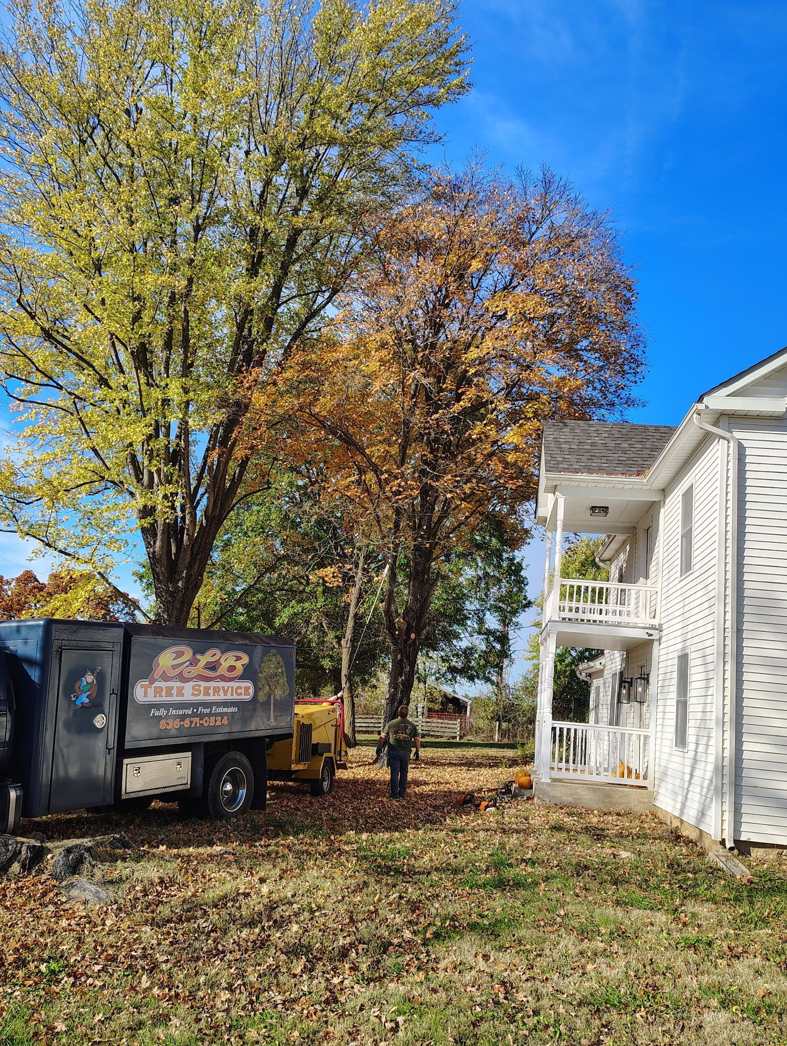 Tree service truck and worker near a house with a balcony, autumn leaves scattered on the ground.