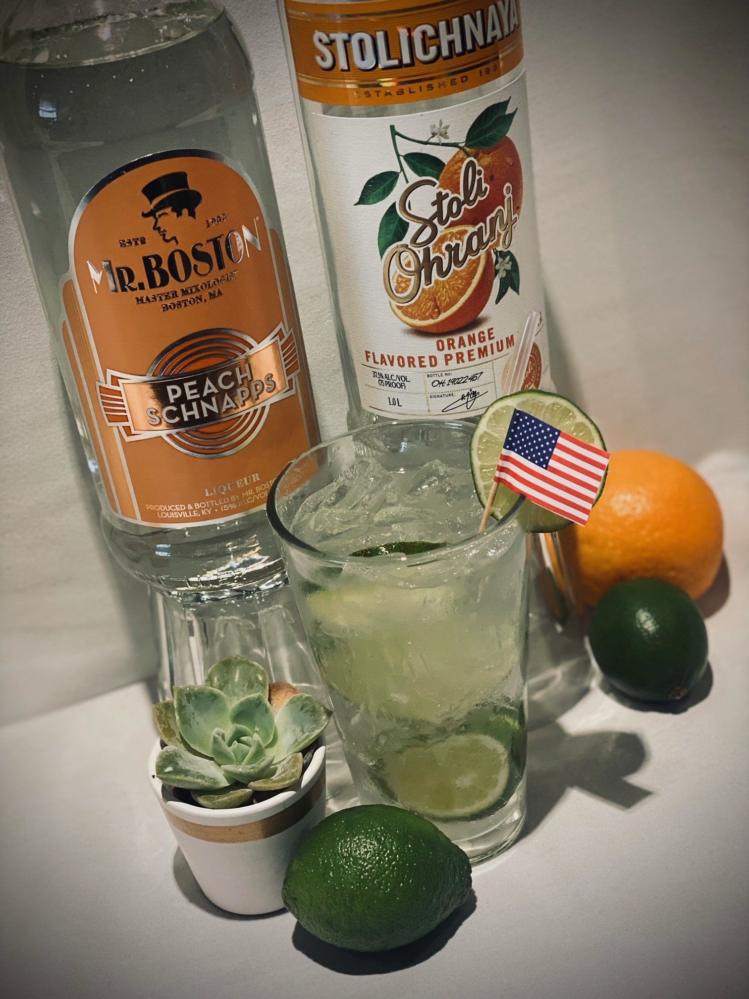 mr. boston and stolichnaya