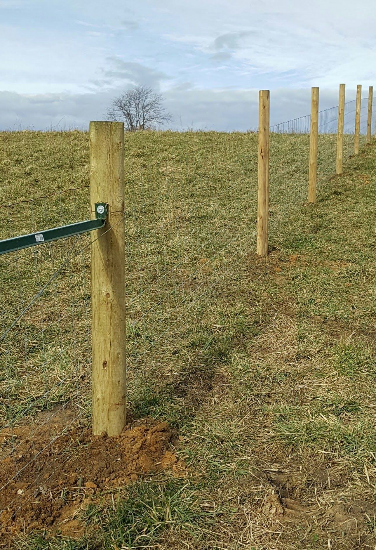 wood fencing IA