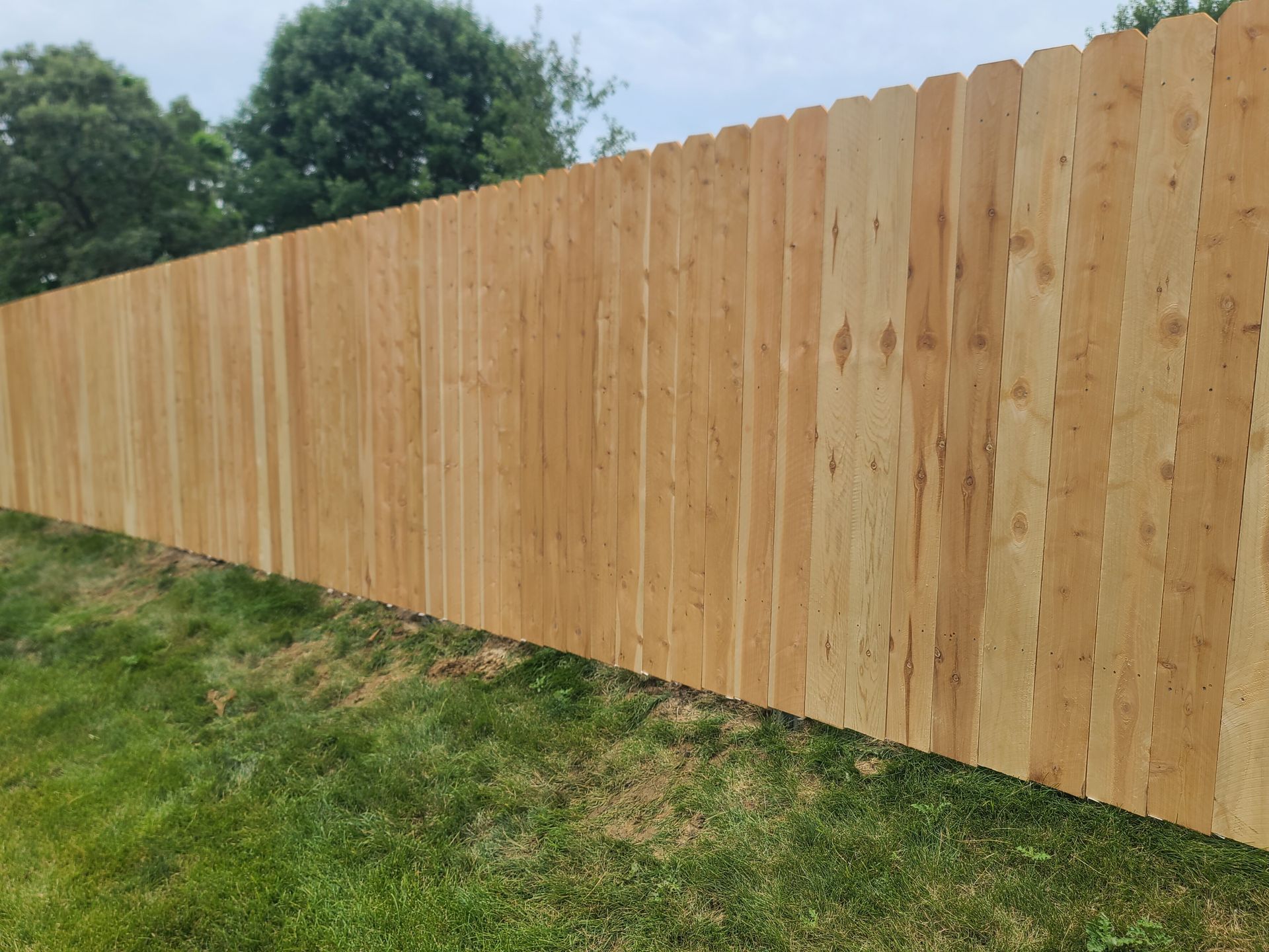 wood fence
