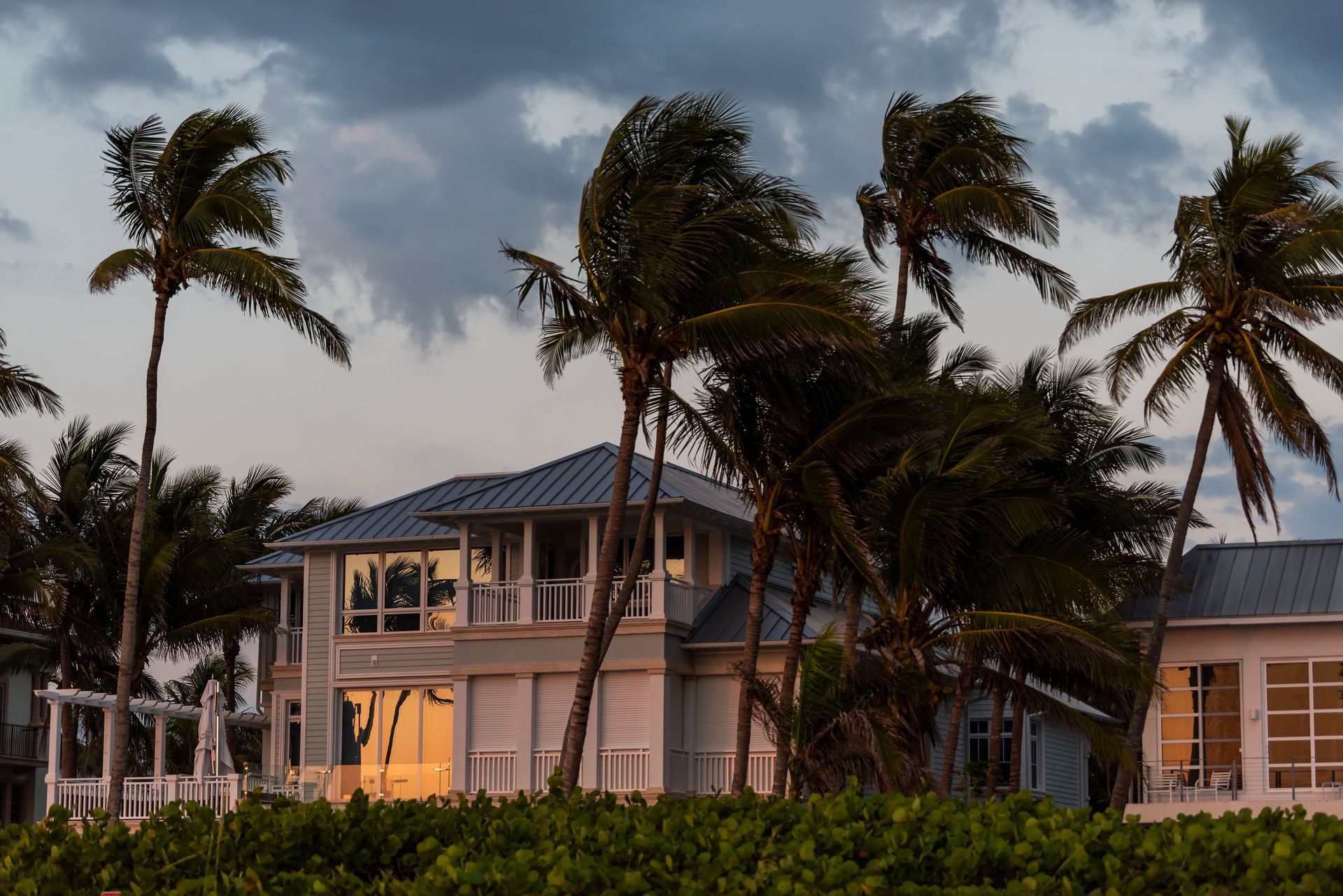 hurricane impact windows and doors