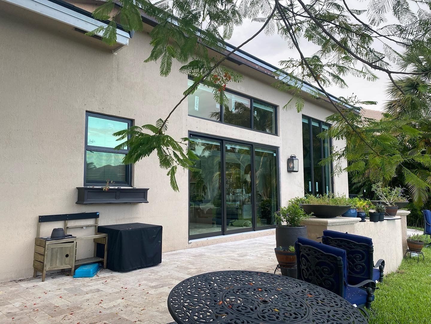 Glass windows and door