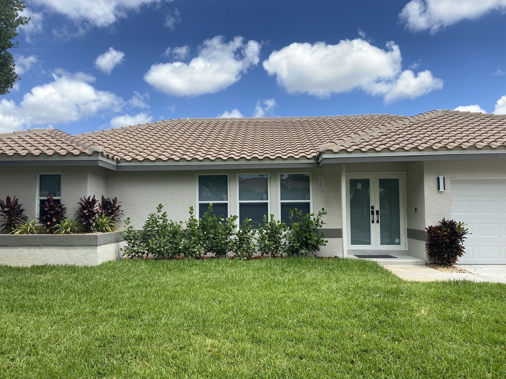 Glass windows and door