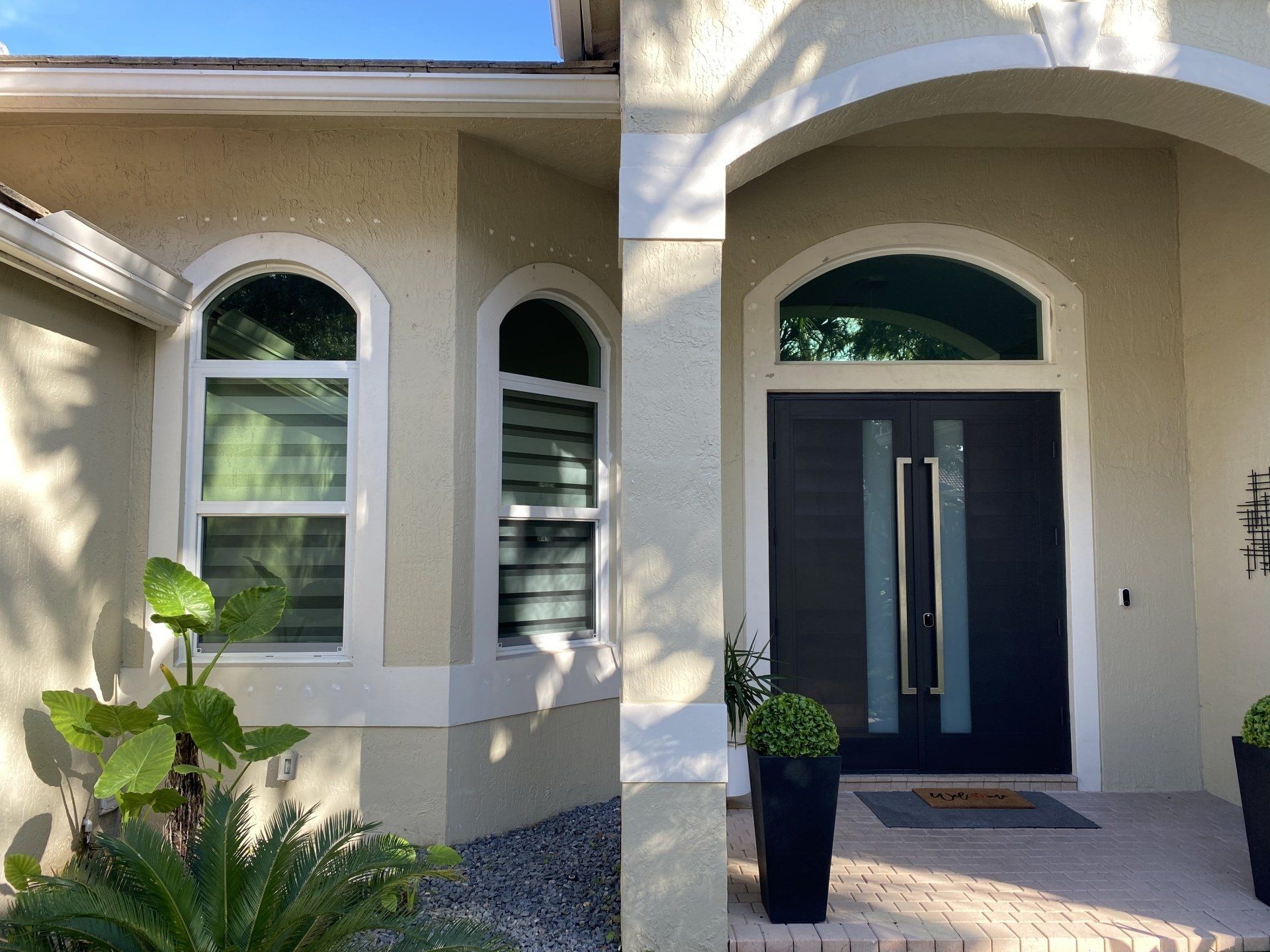 Glass windows and door