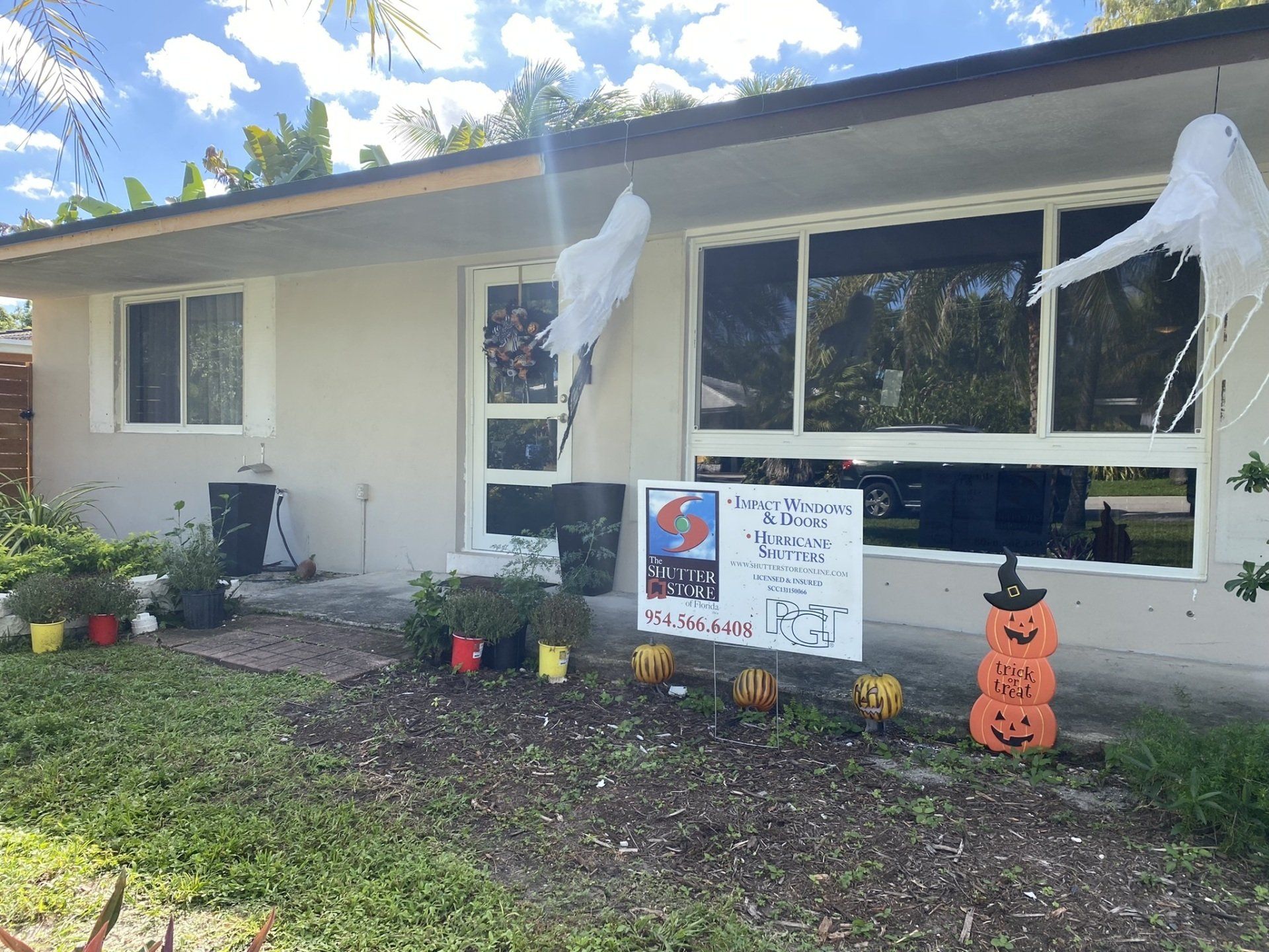 Glass windows and door