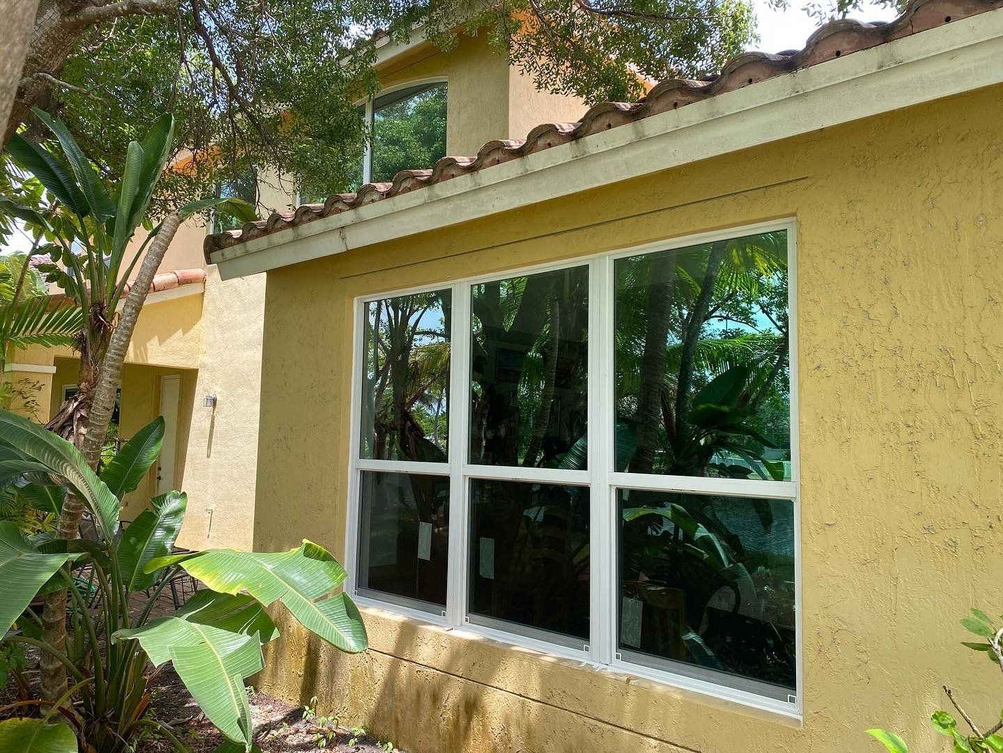 Tinted glass windows