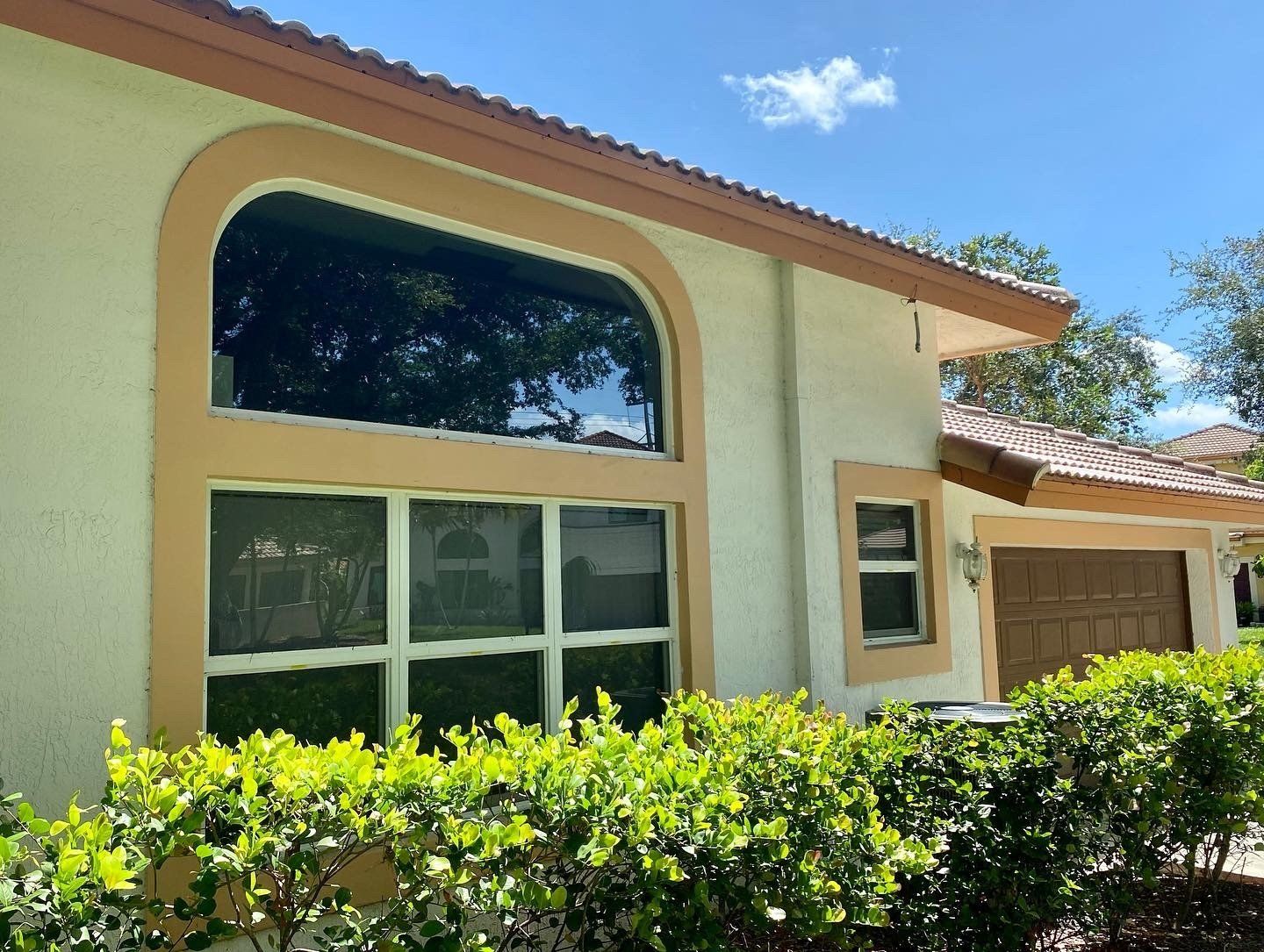 Tinted glass windows