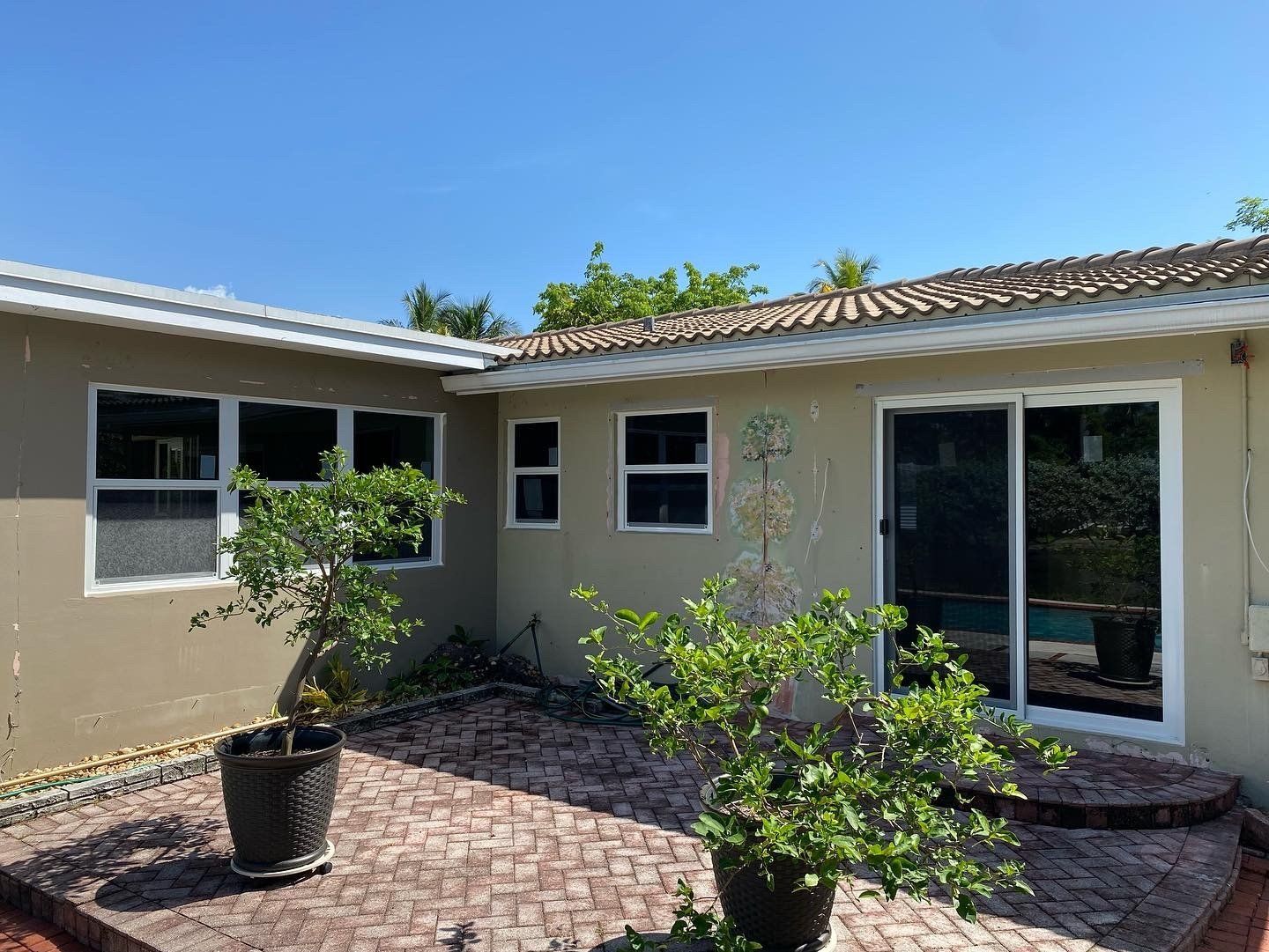 Glass windows and door